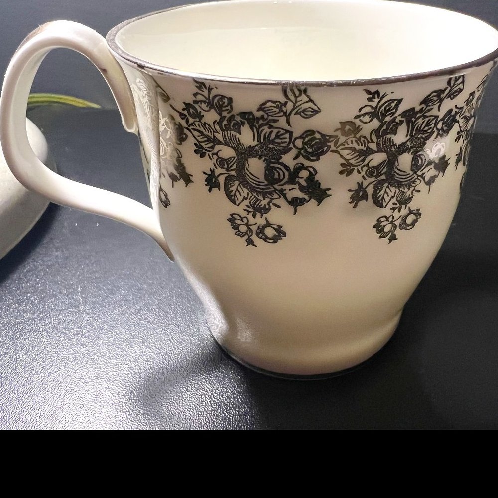 Royal Albert Silver Anniversary Tea Cup / Coffee Mug Vintage Collectible Set 2